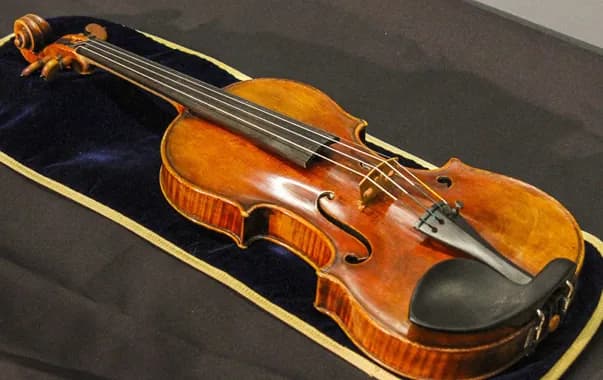 Expert en lutherie examinant un violon ancien à Roisel